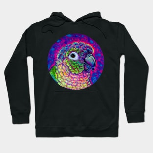 Greek Cheeked Conure Hoodie